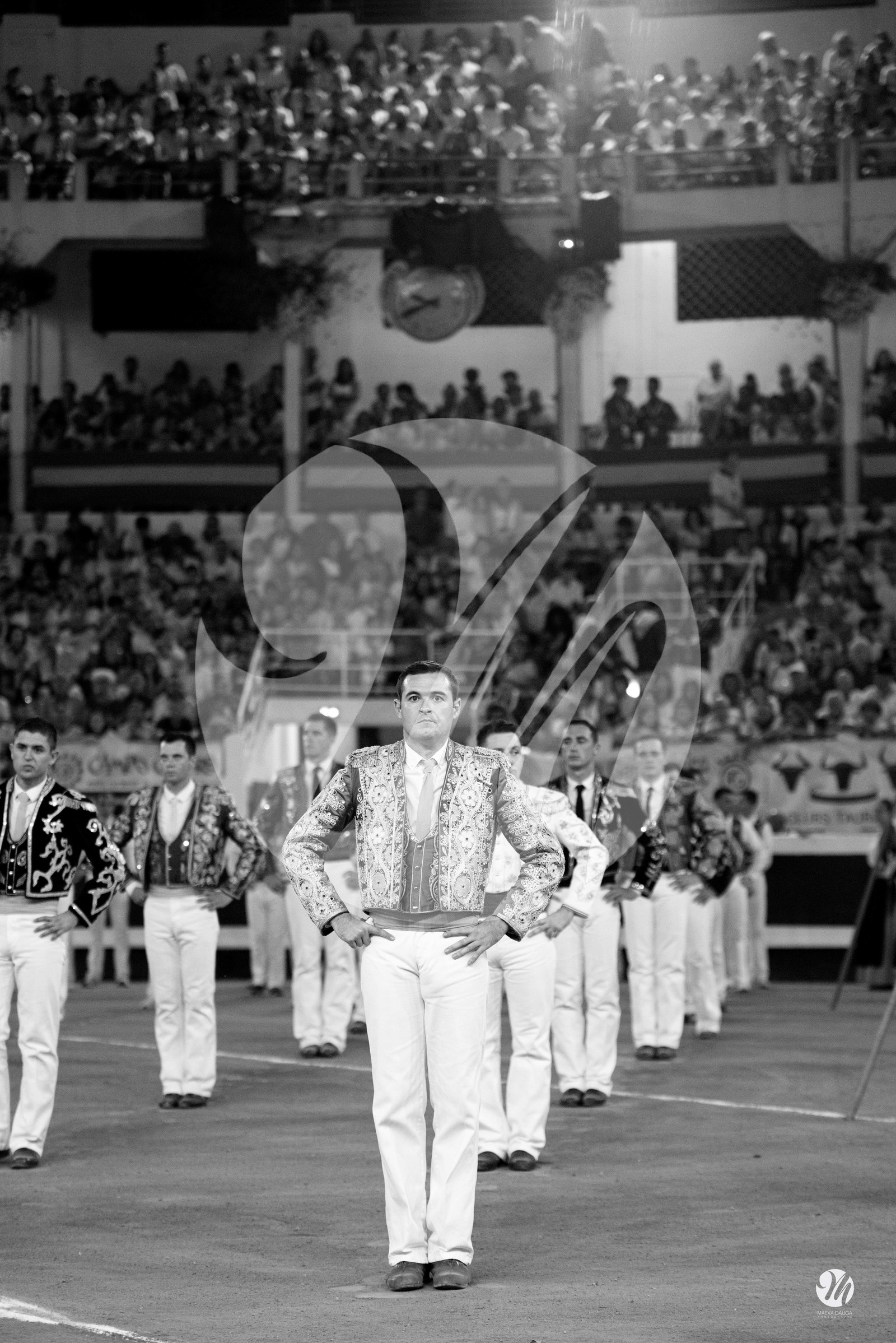 dsc_5006.jpg-nb.jpg