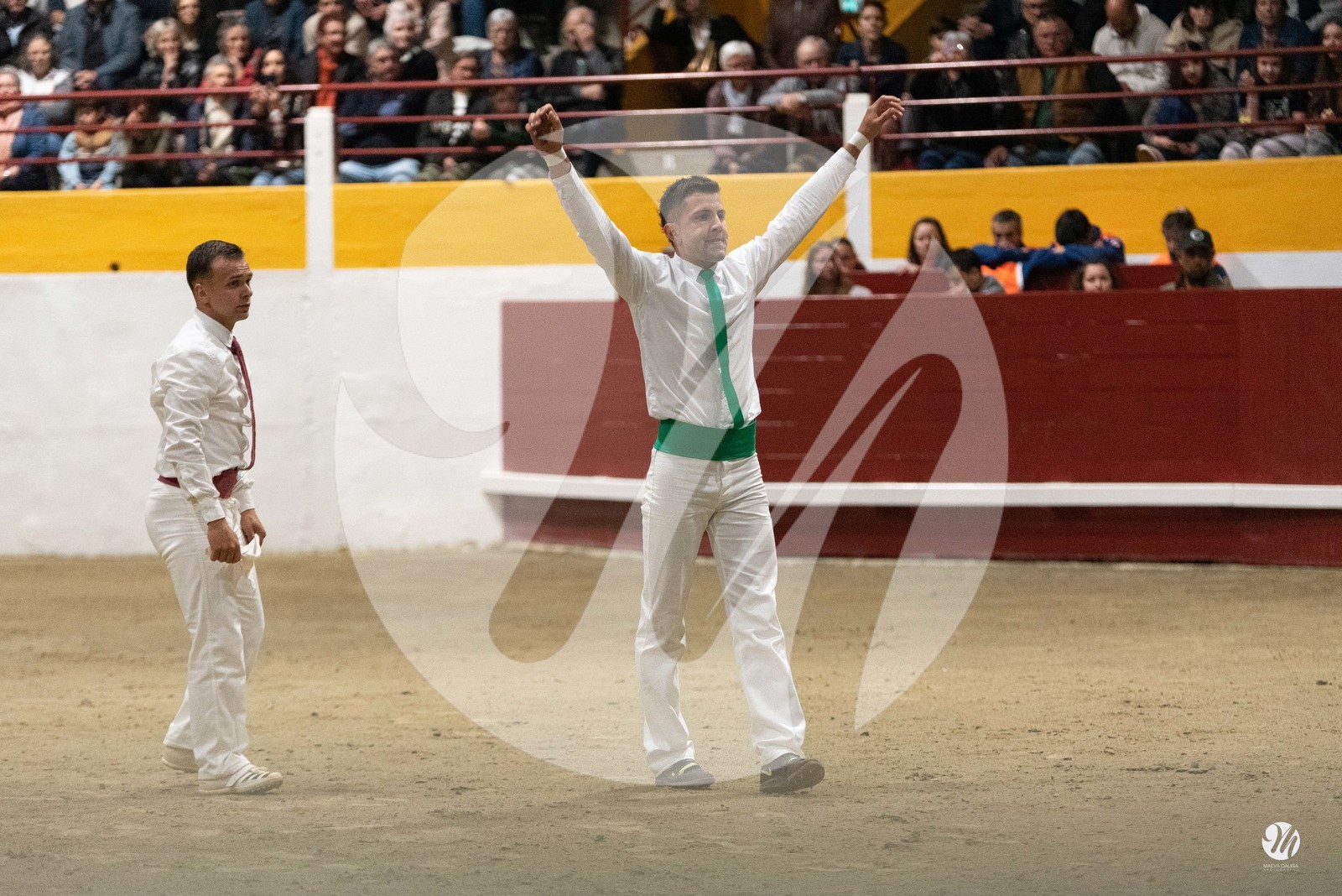 dsc_4388.jpg