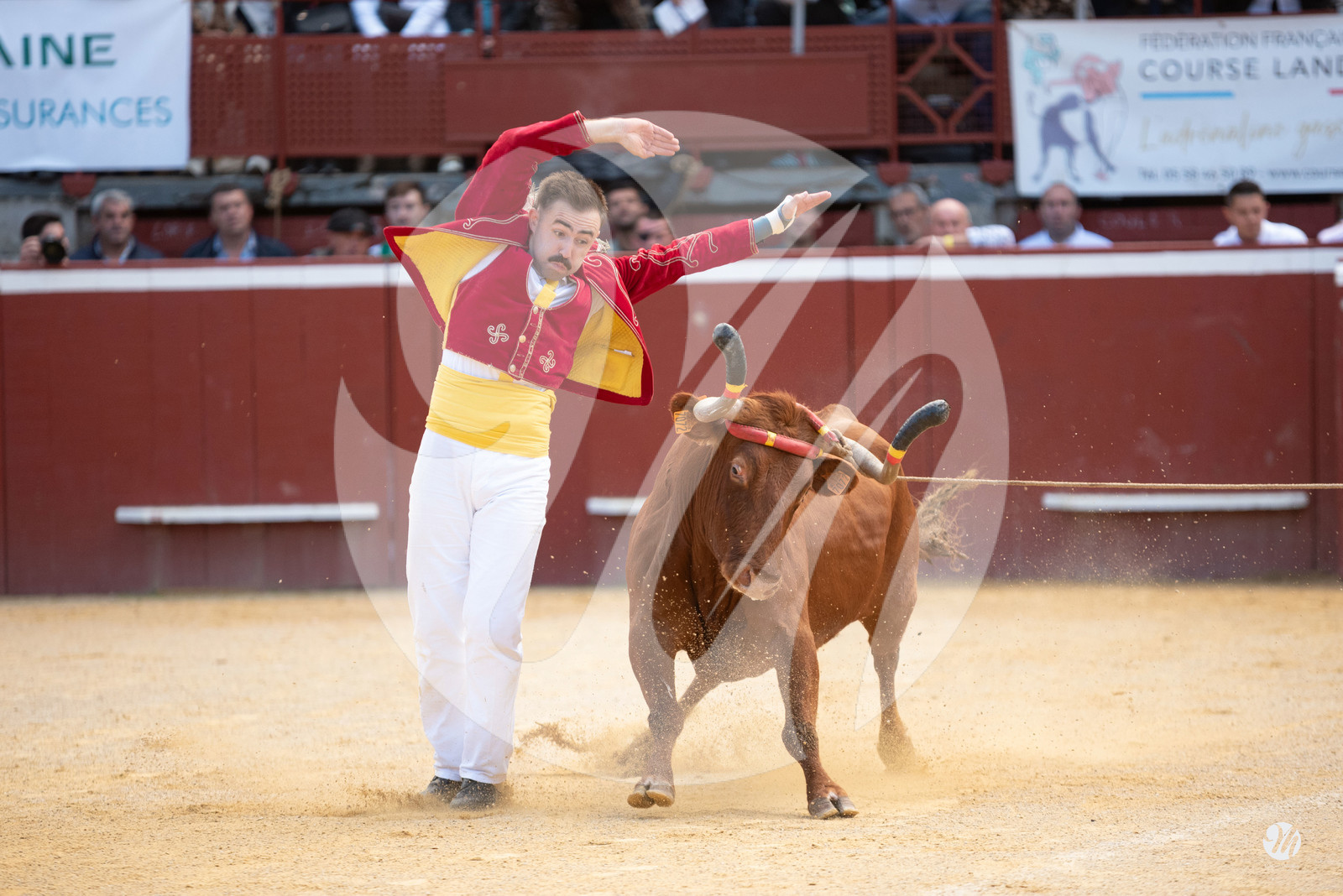 dsc_9807.jpg