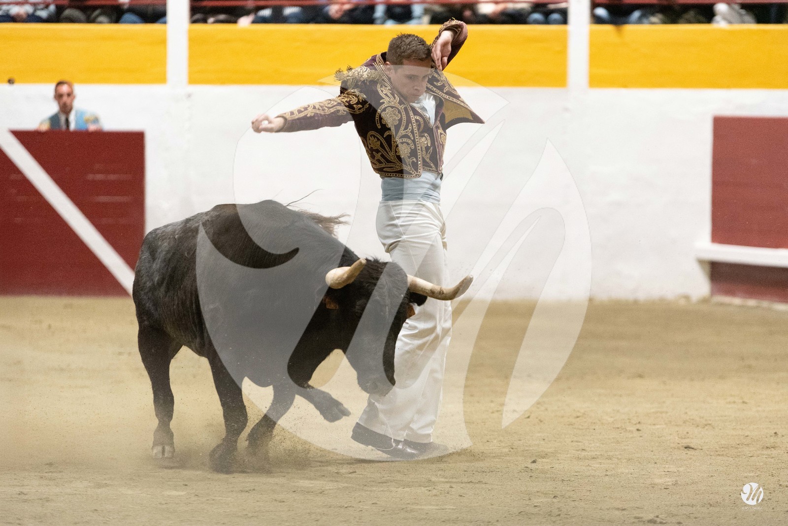 dsc_4163.jpg