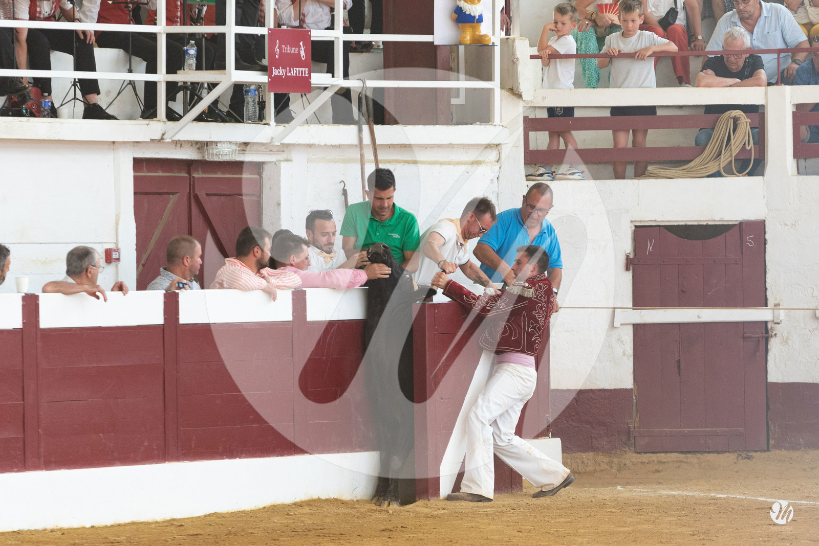 dsc_9536.jpg