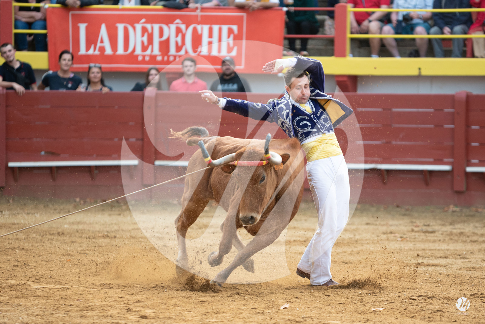dsc_3416.jpg