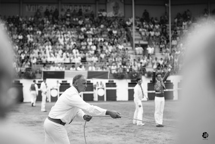 dsc_8365.jpg-nb.jpg