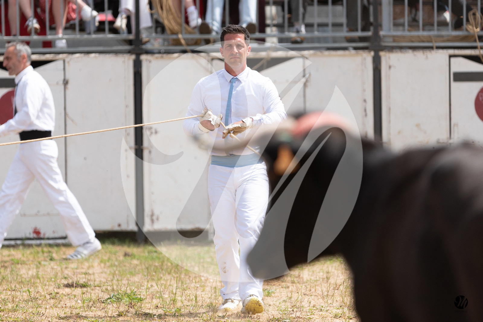 dsc_9122.jpg