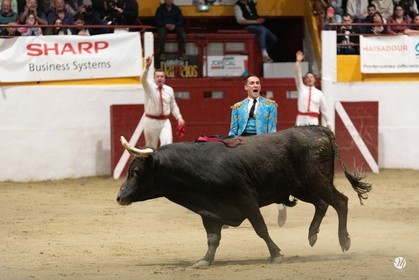 dsc_4372.jpg