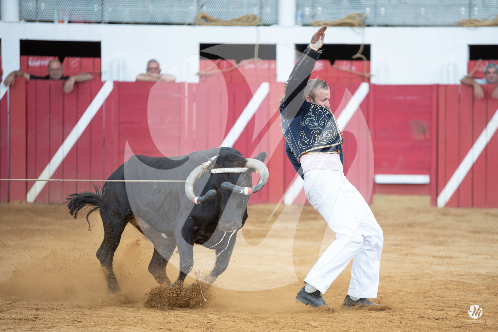 dsc_8574.jpg