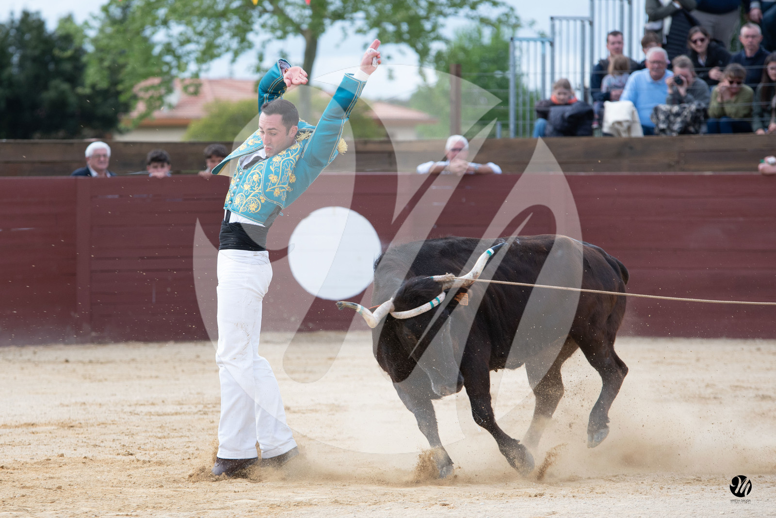 dsc_6346.jpg
