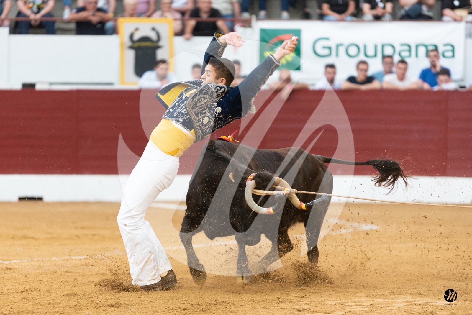 dsc_1442.jpg
