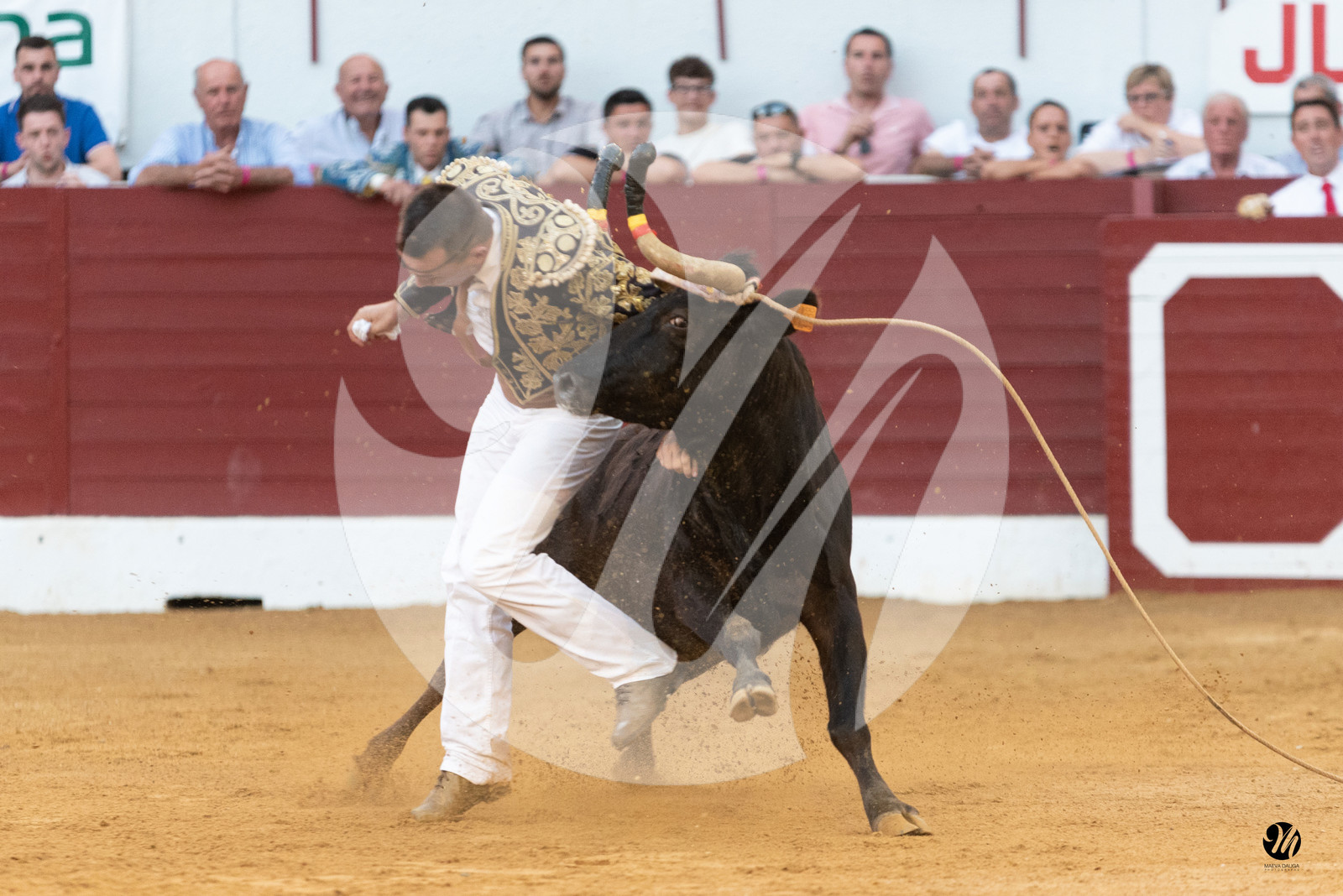 dsc_1468.jpg