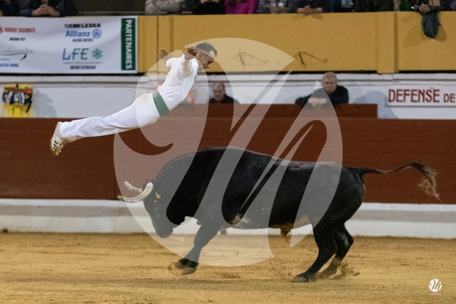 dsc_0473.jpg