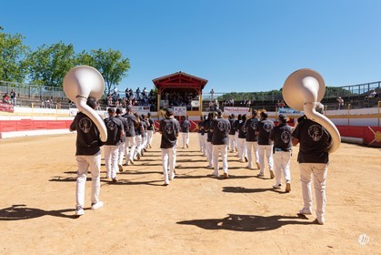dsc_3804.jpg