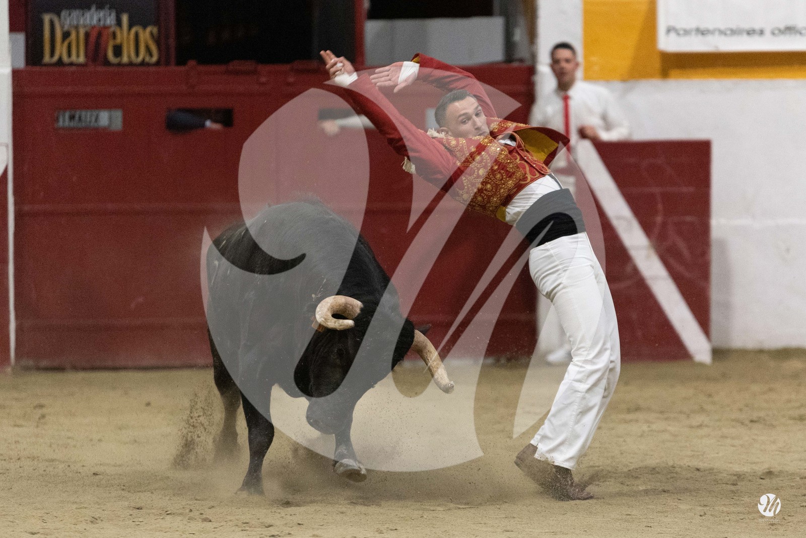 dsc_4734.jpg