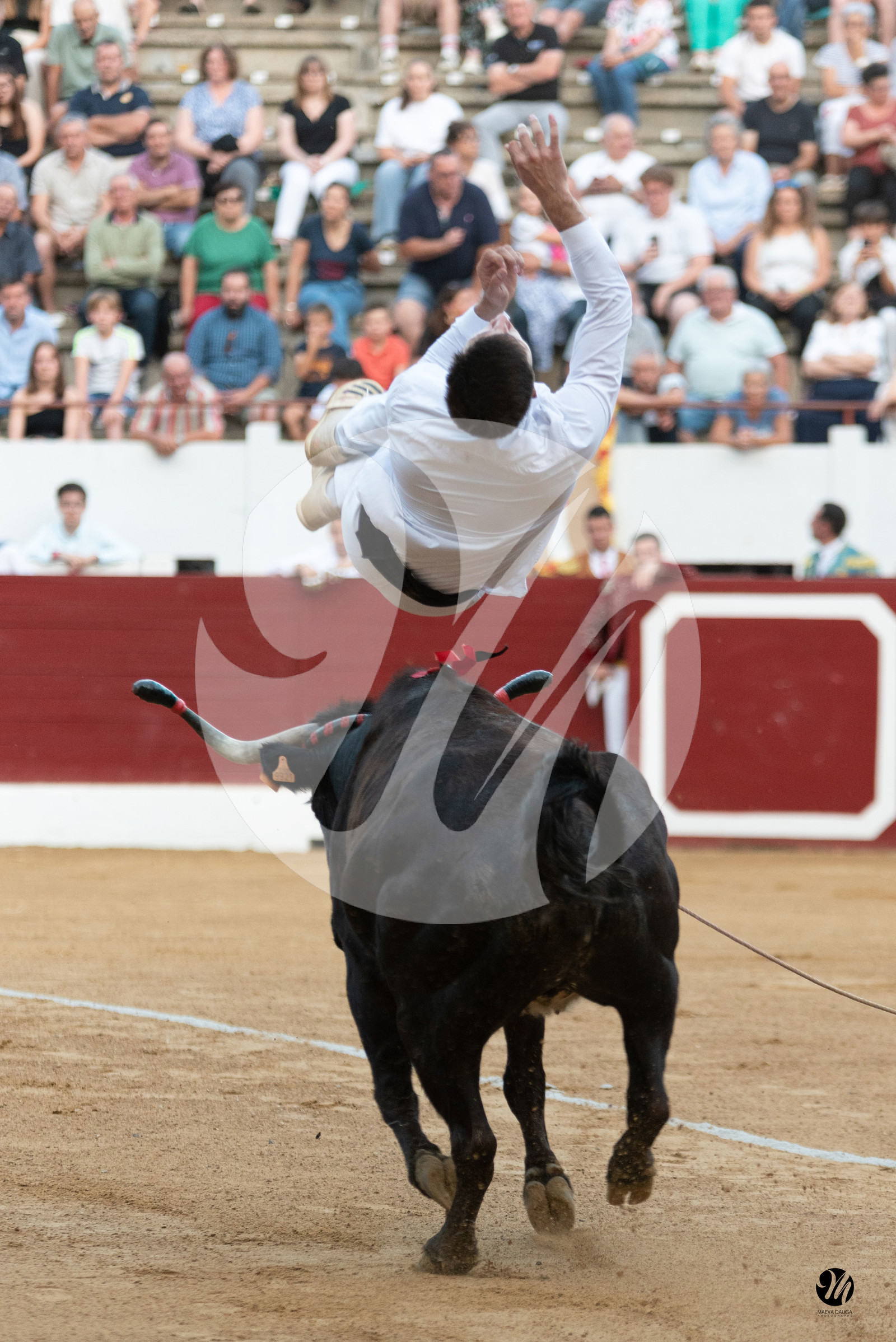 dsc_1391.jpg