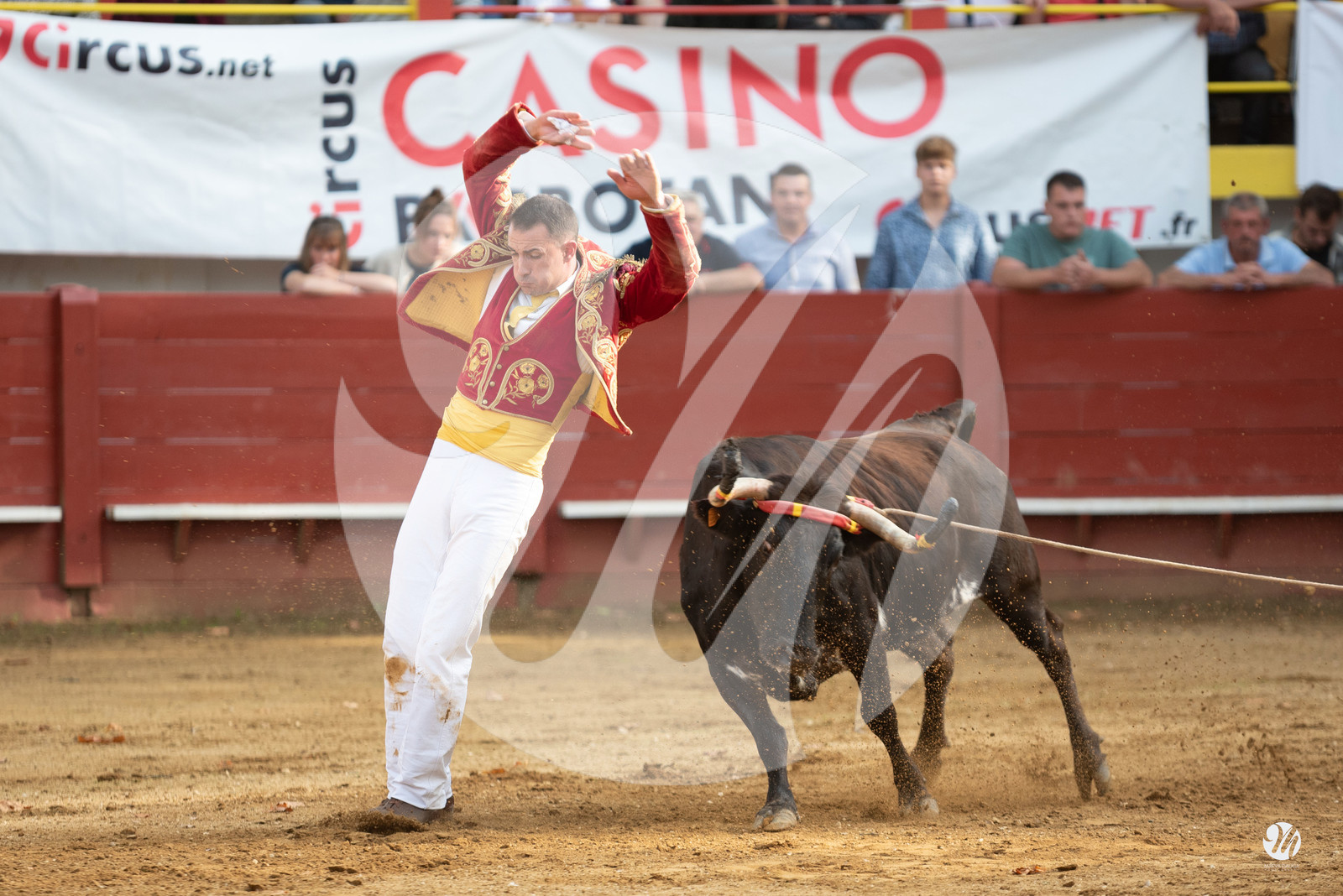 dsc_3235.jpg