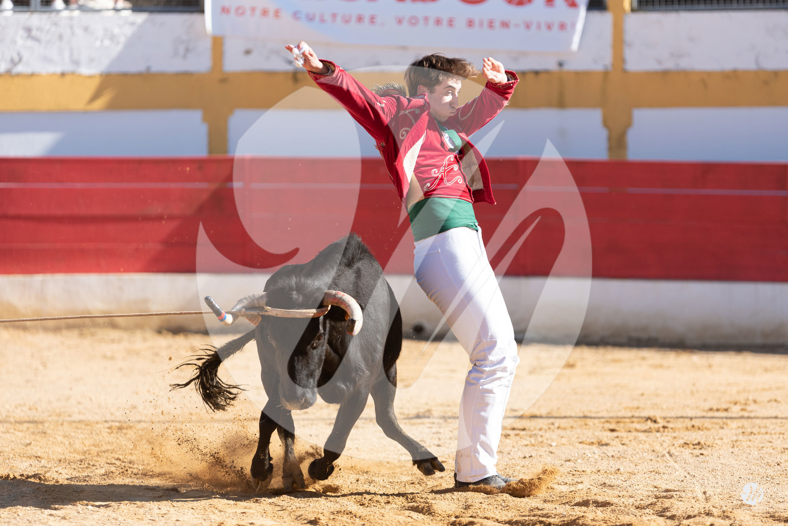 dsc_6724.jpg