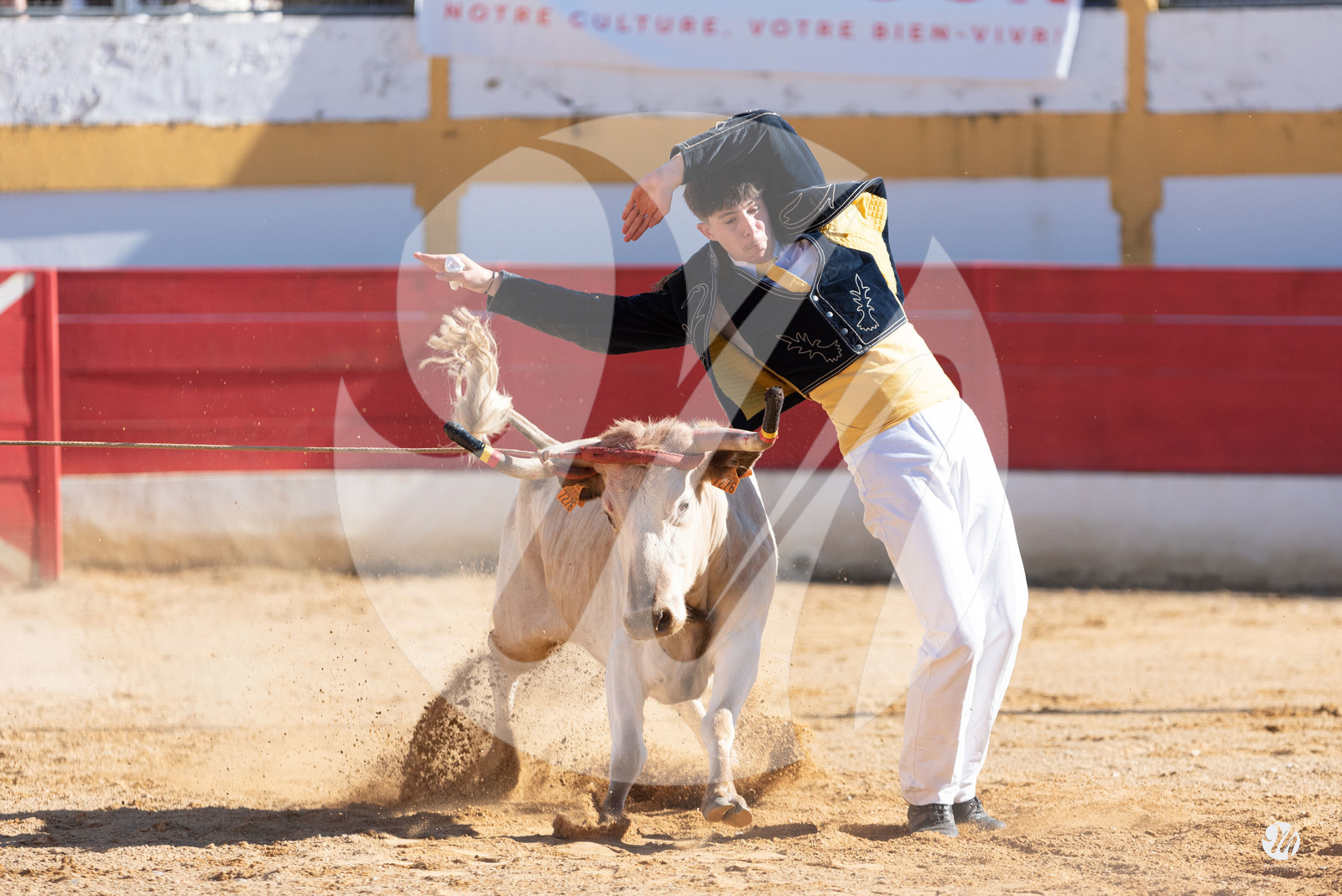 dsc_6714.jpg