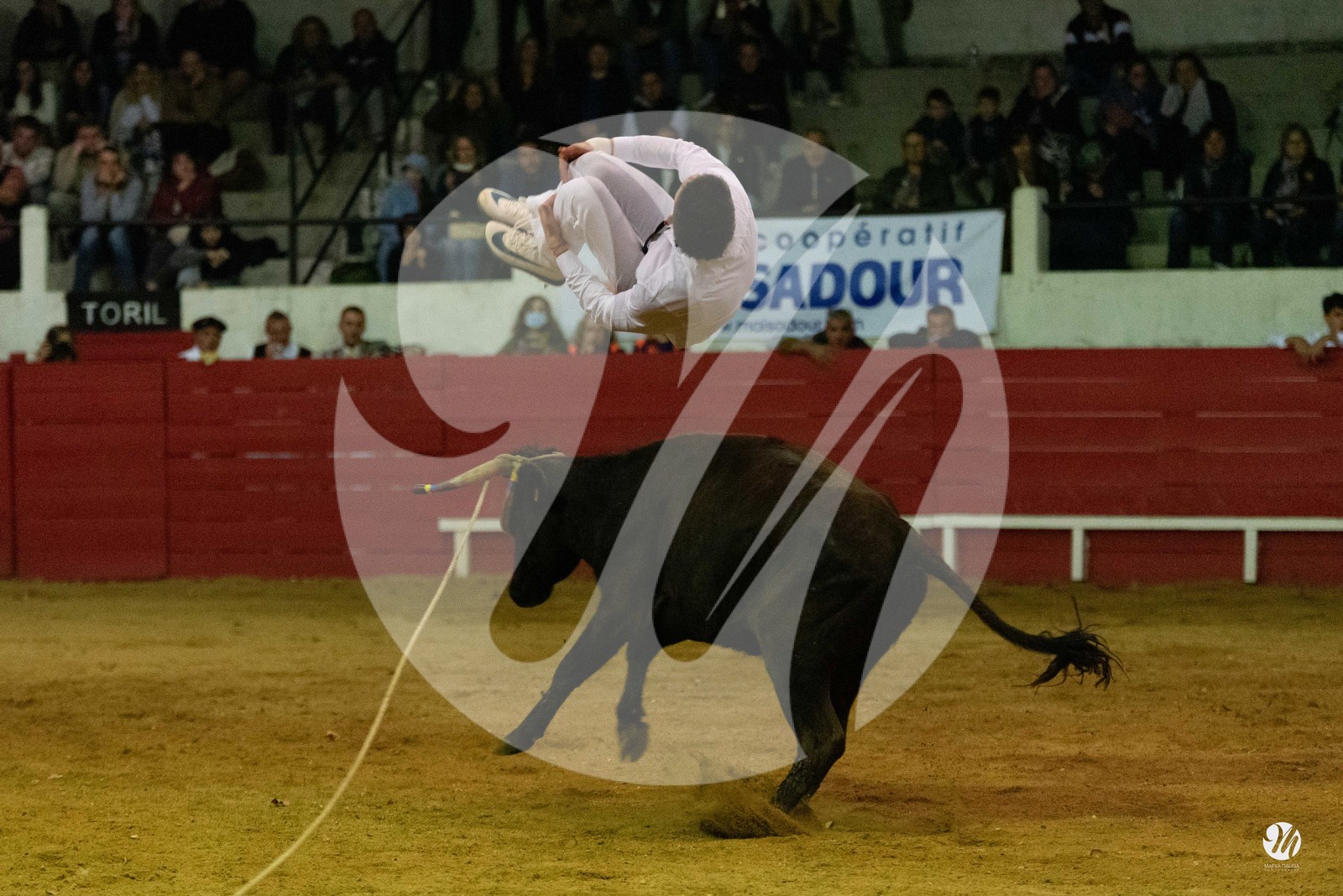 dsc_7394.jpg