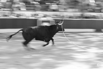 dsc_3529-nb.jpg