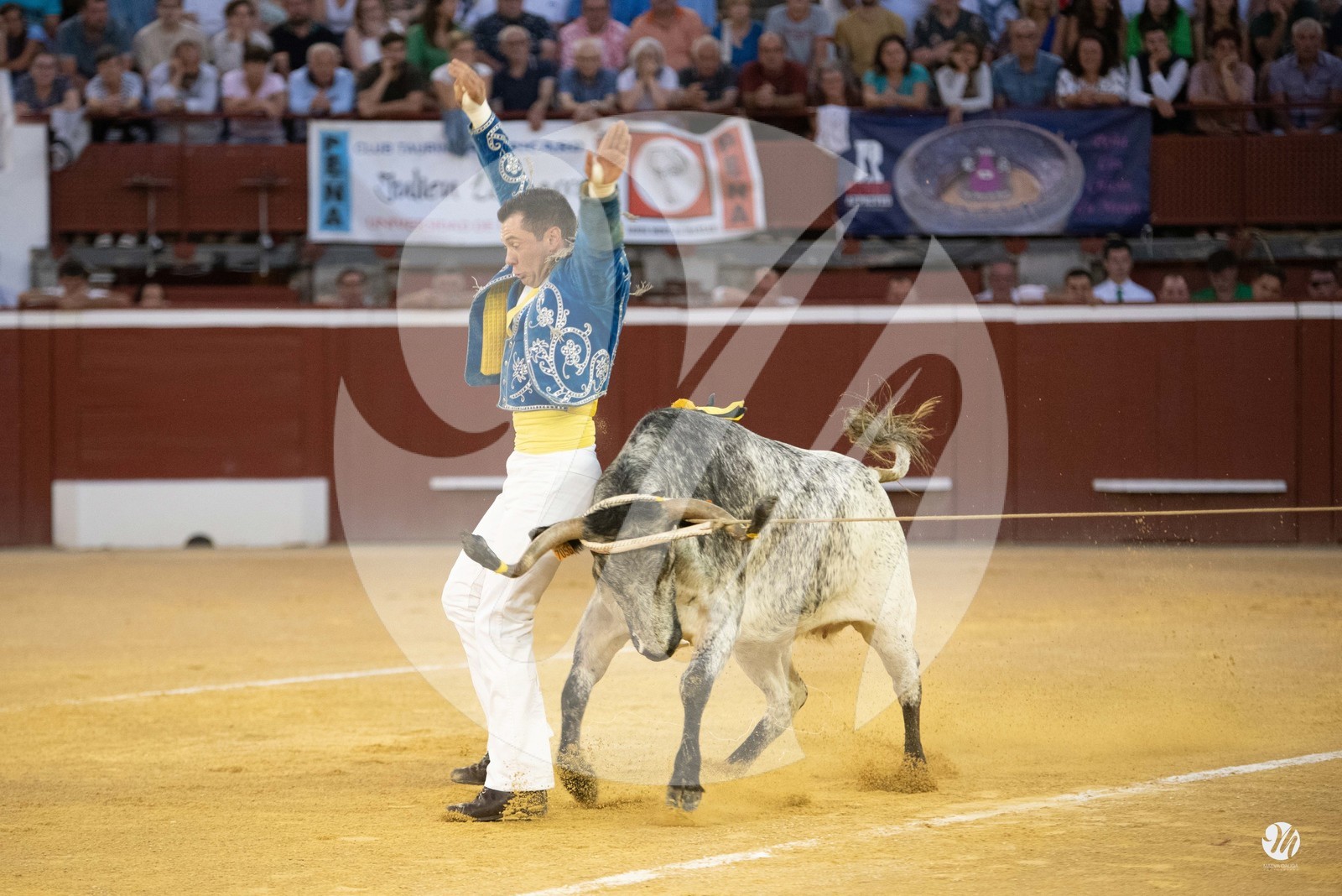 dsc_9672.jpg