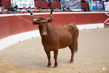 dsc_9819.jpg