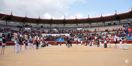 dsc_3417.jpg
