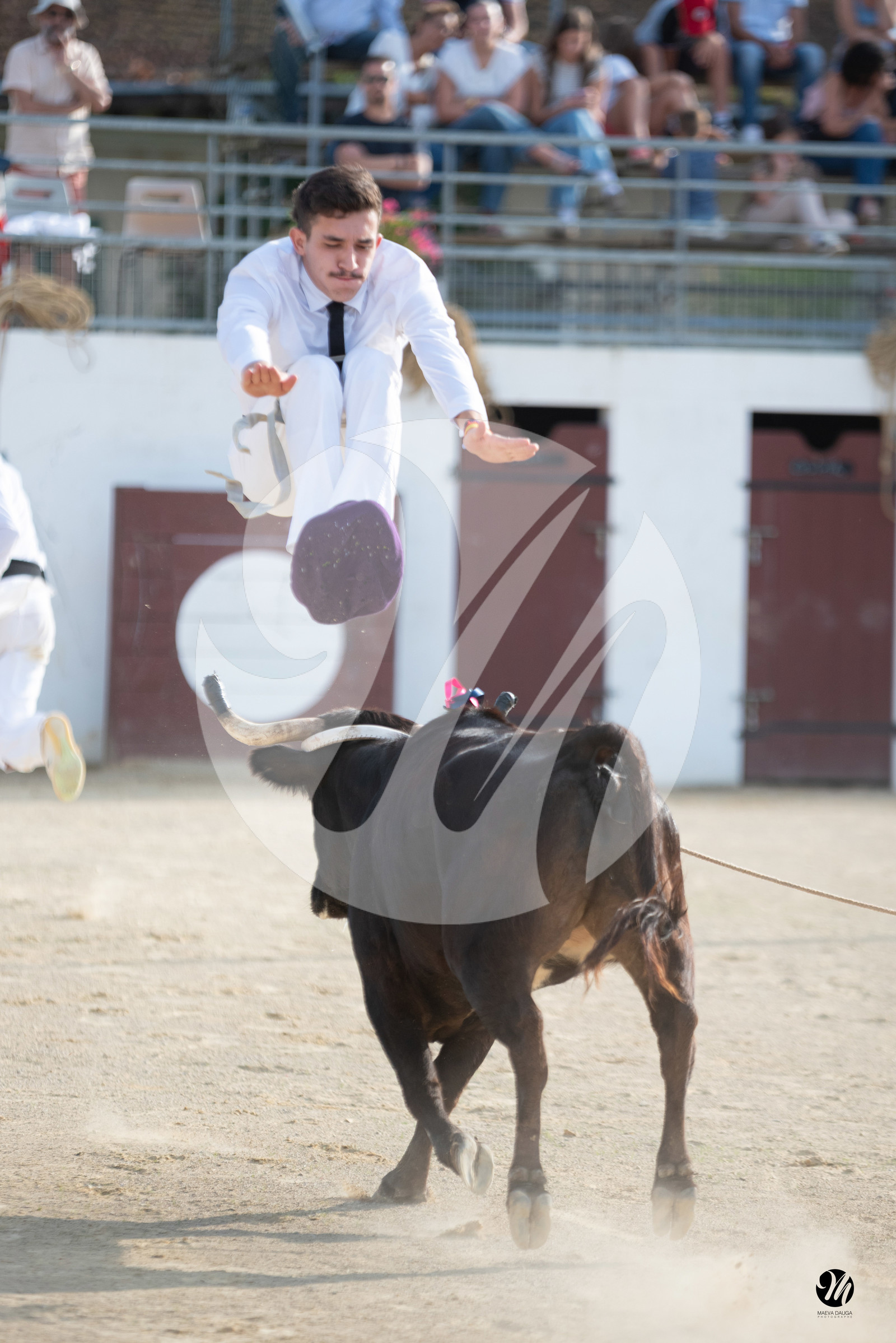 dsc_5960.jpg