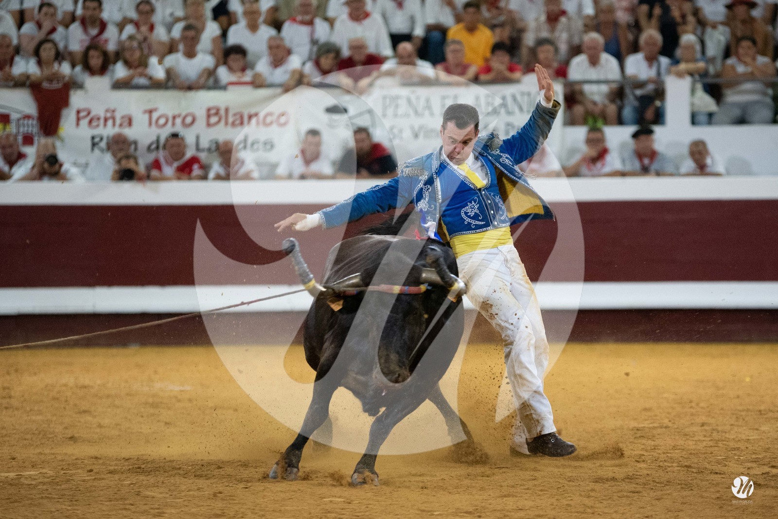 dsc_5747.jpg