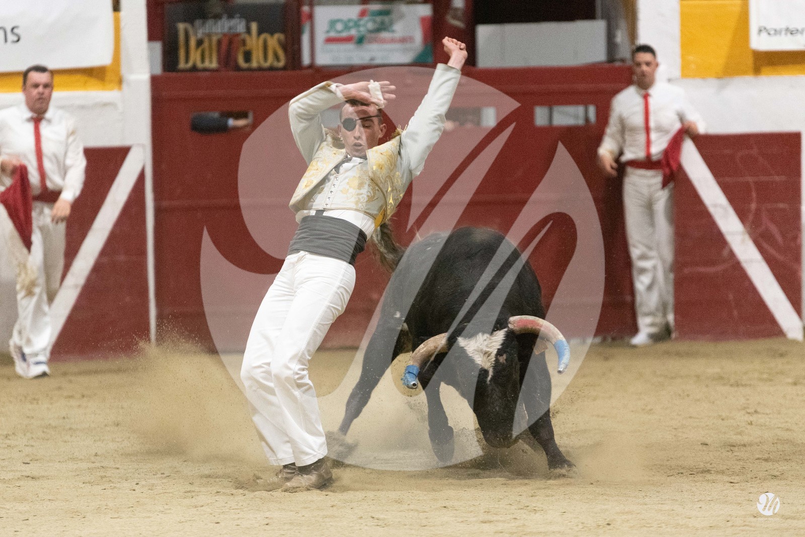 dsc_4509.jpg