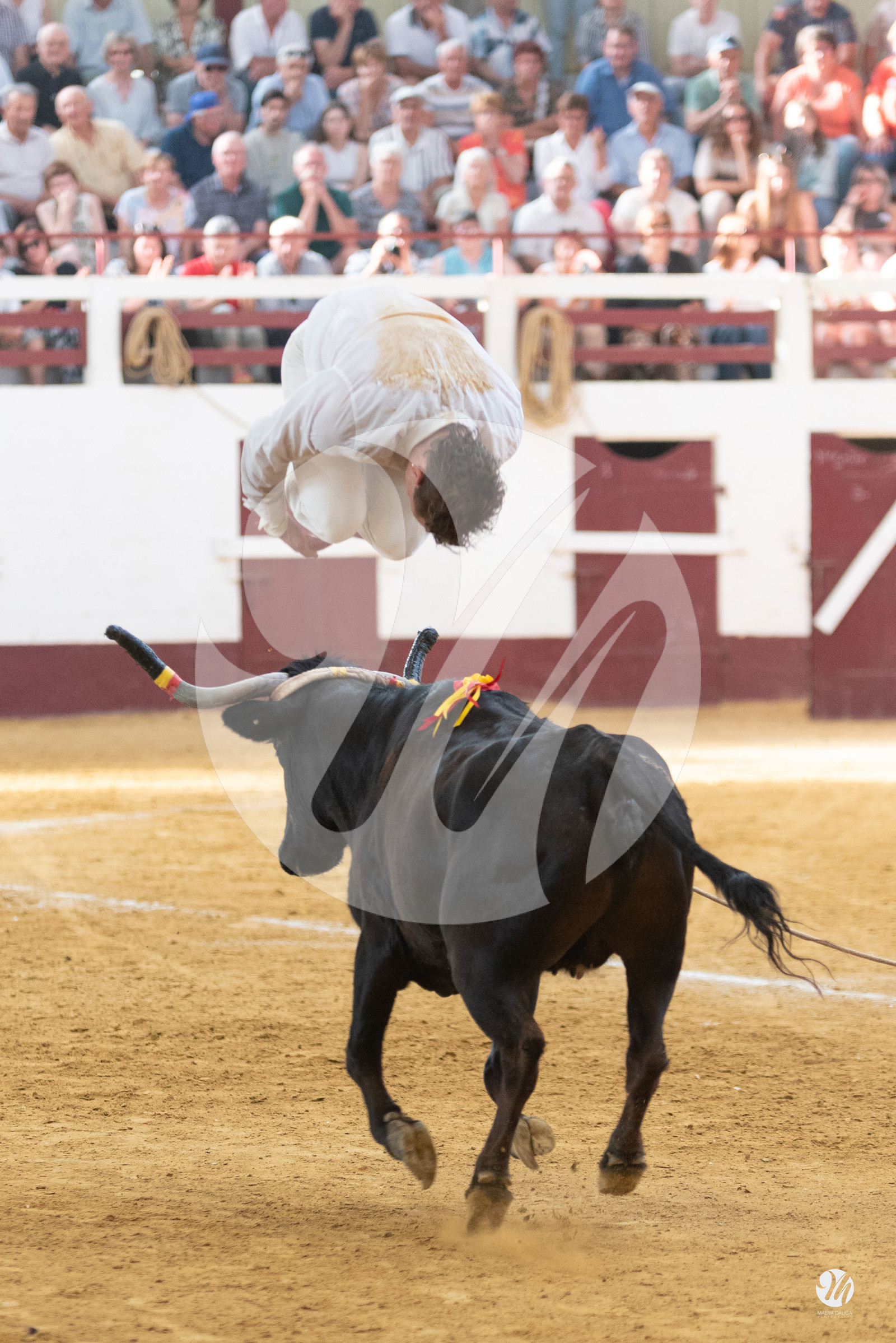 dsc_9823.jpg