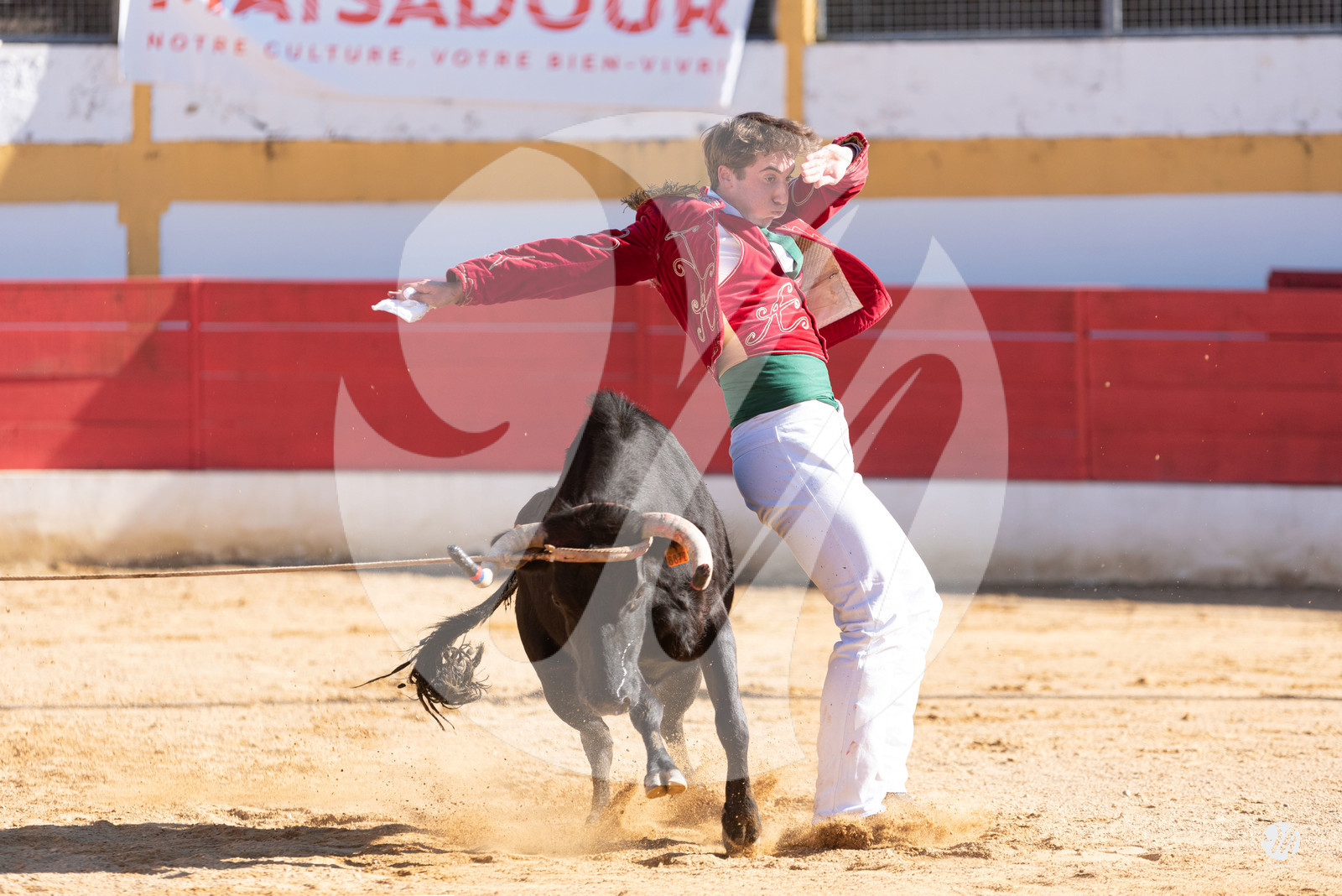 dsc_6758.jpg