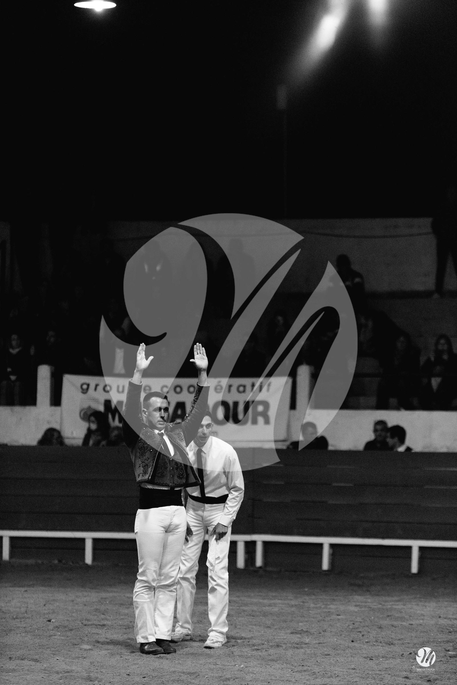 dsc_7704.jpg-nb.jpg