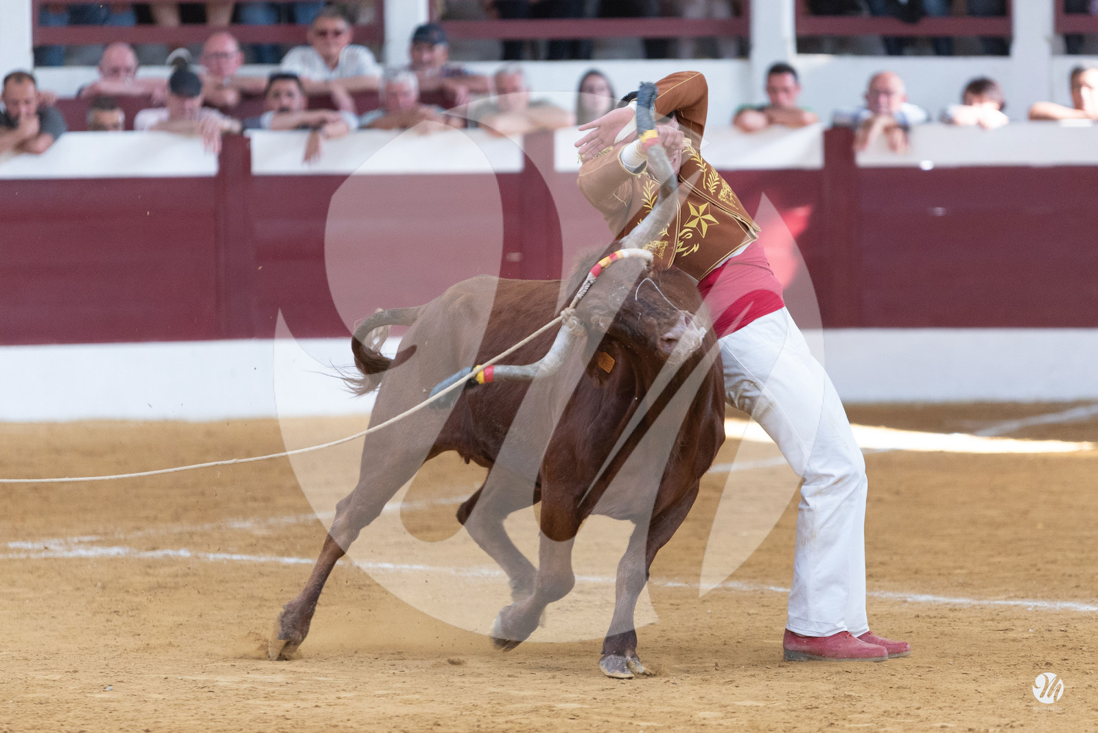dsc_9905.jpg