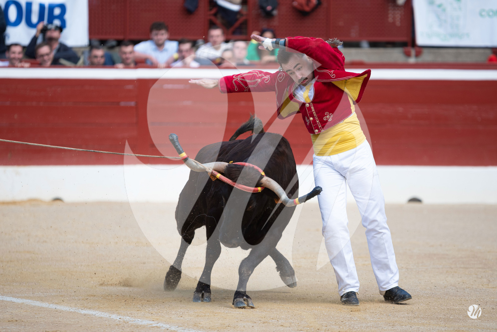 dsc_9190.jpg