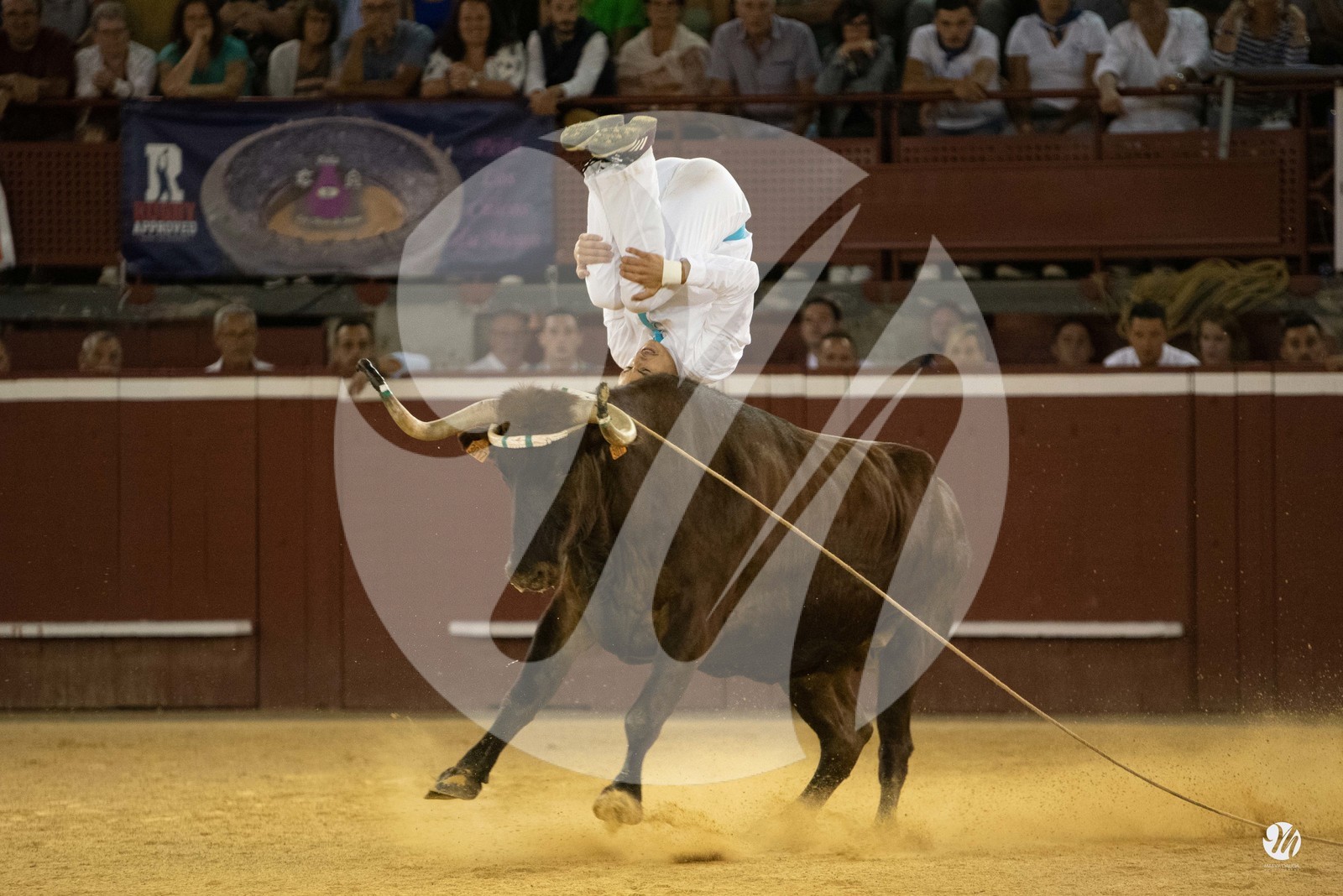 dsc_0274.jpg
