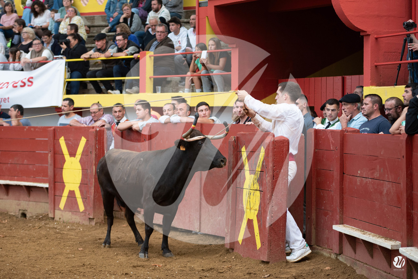 dsc_3579.jpg