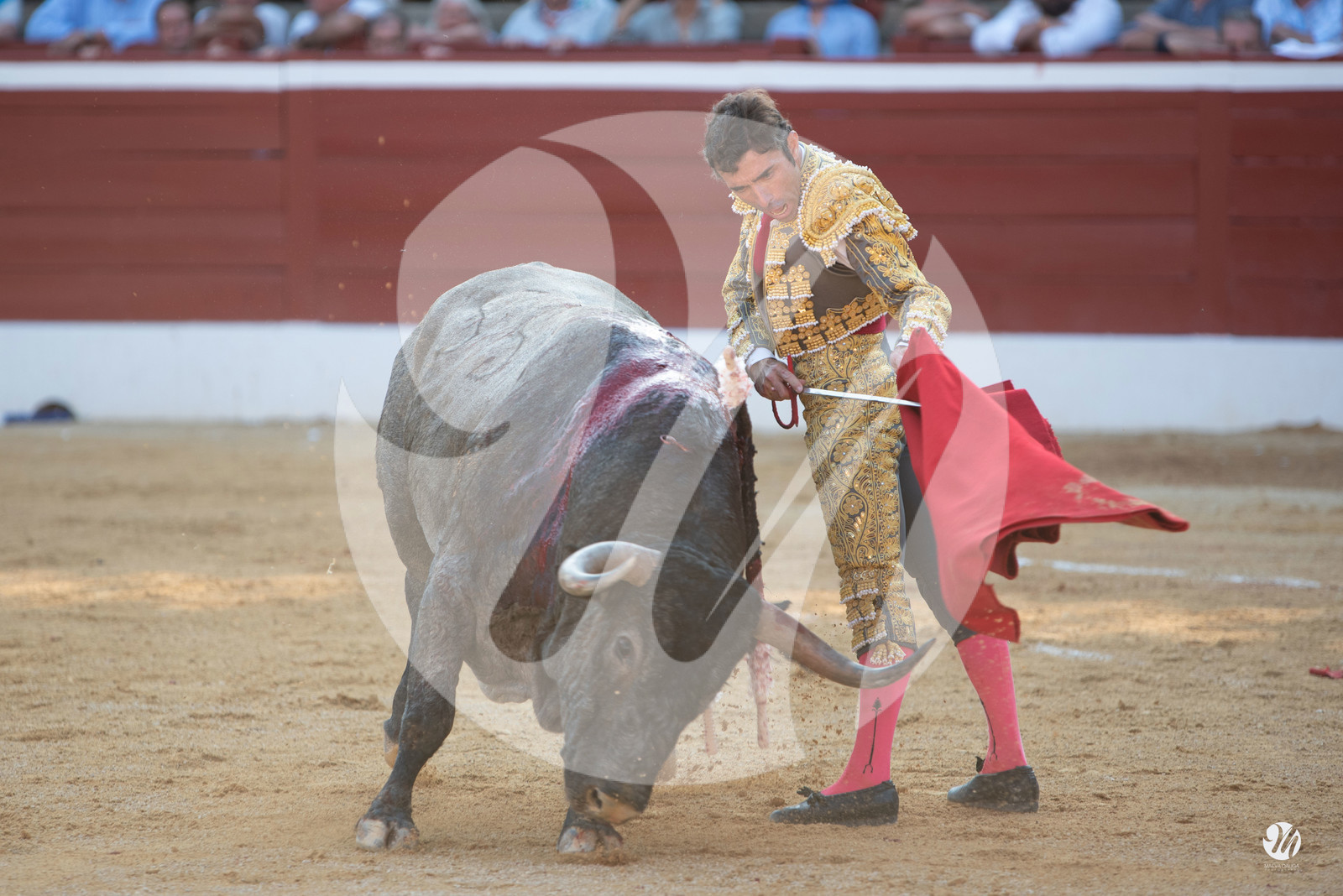 dsc_1927.jpg