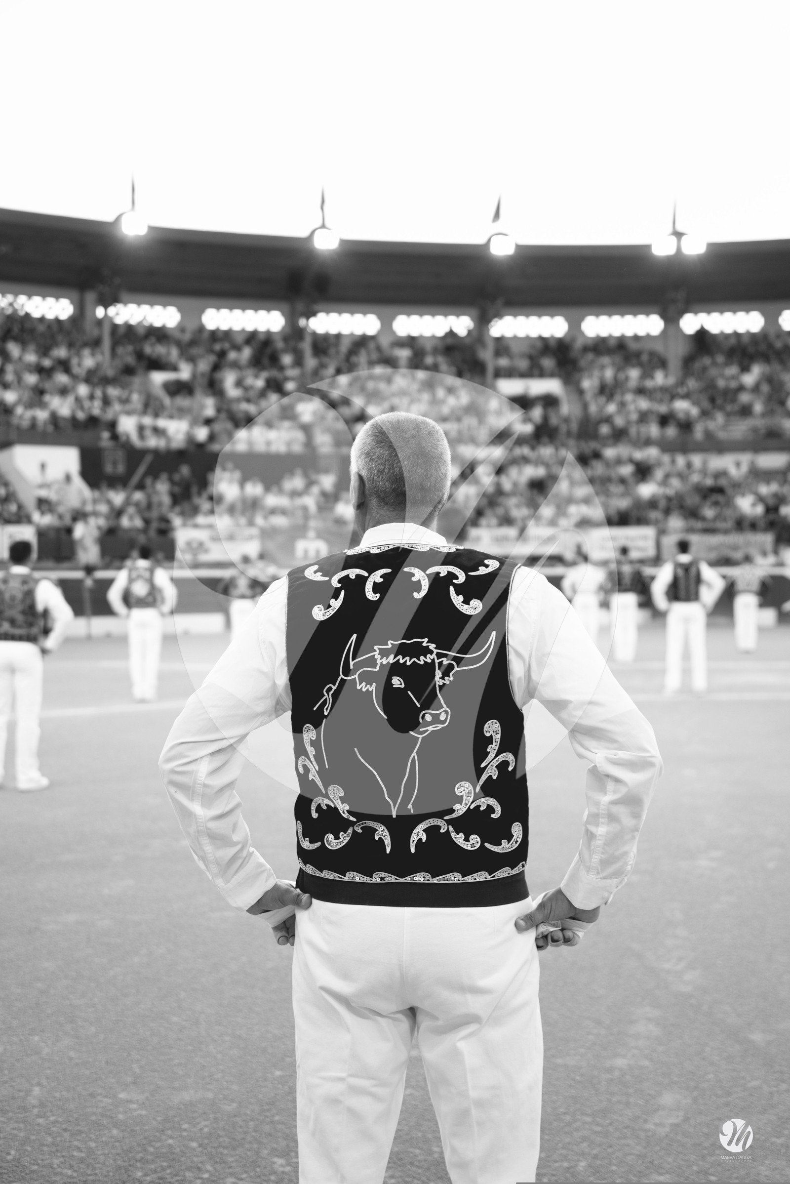 dsc_7898.jpg-nb.jpg