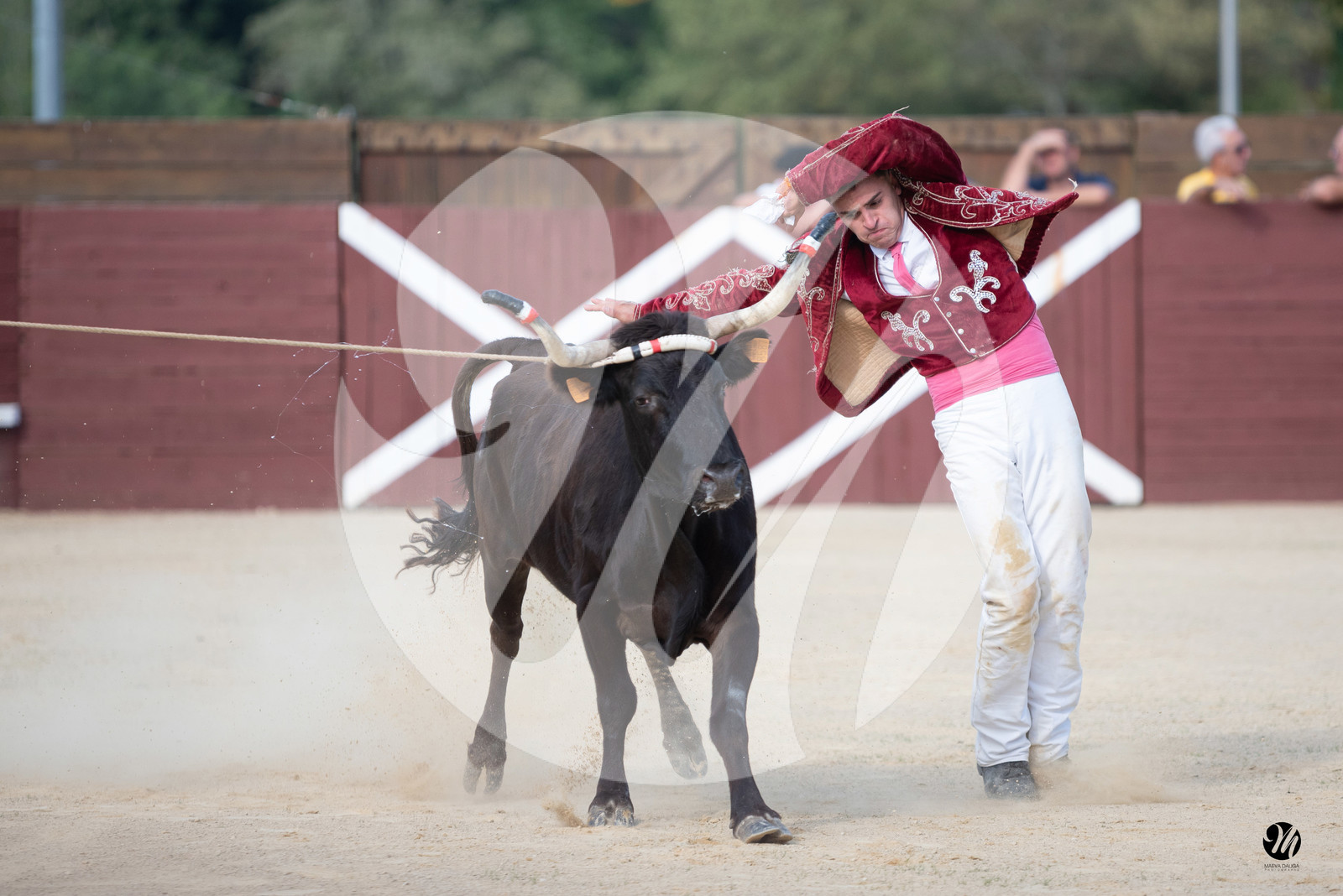 dsc_5788.jpg