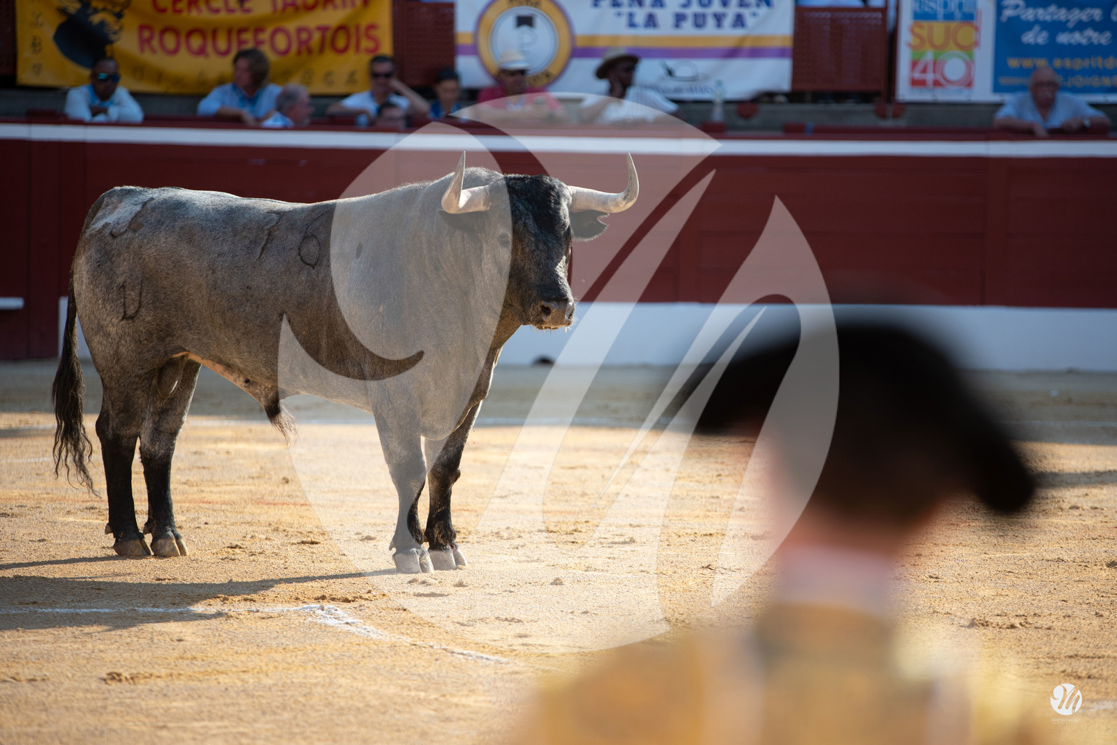 dsc_1704.jpg