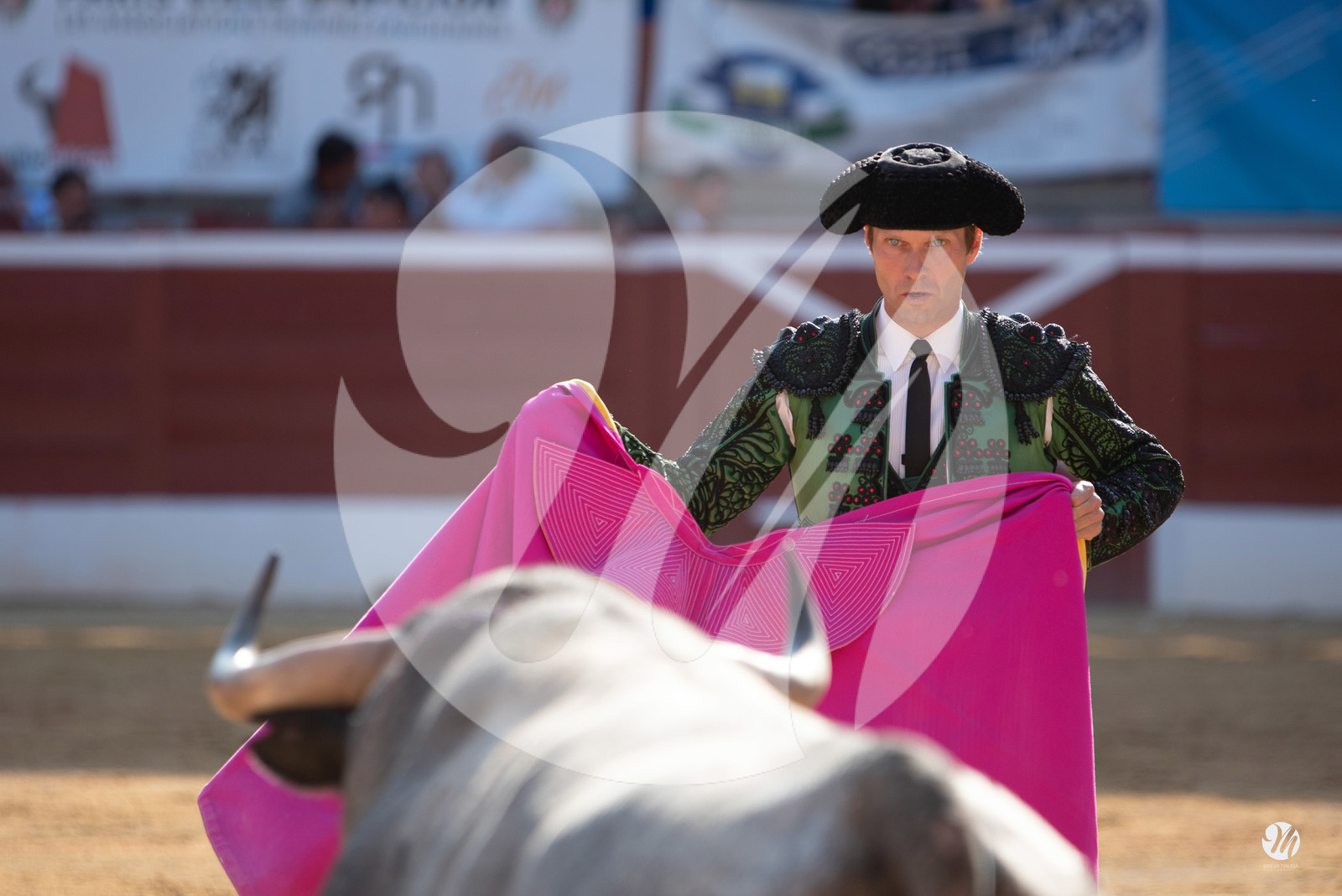 dsc_1666.jpg