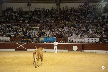 dsc_0083.jpg