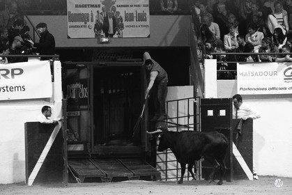 dsc_3968.psd-nb.jpg