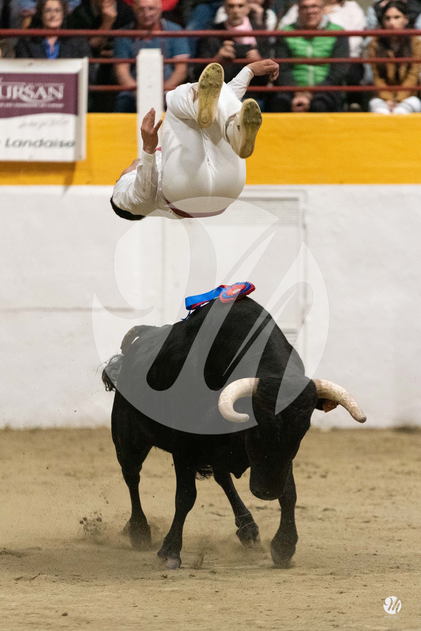 dsc_4445.jpg