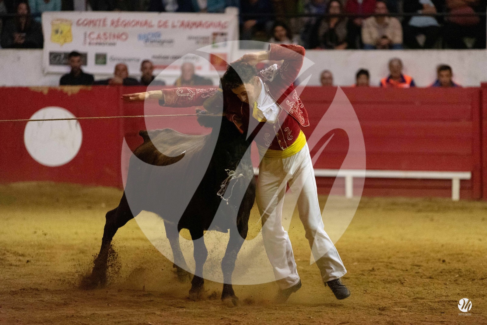 dsc_7508.jpg