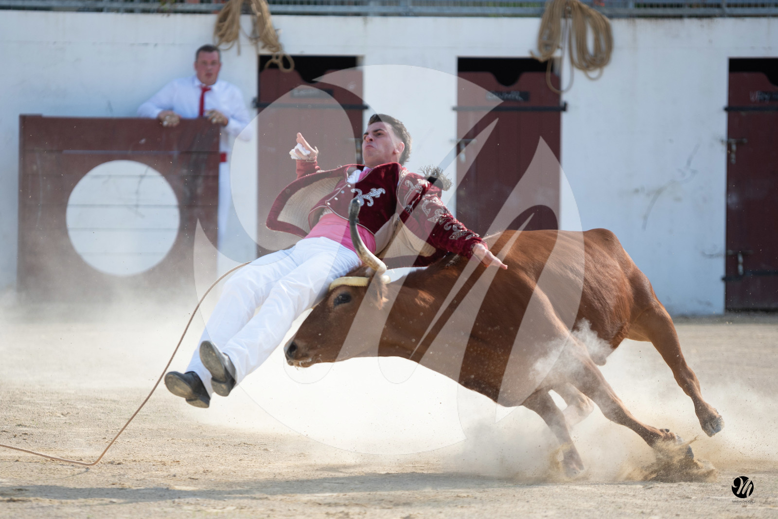dsc_5667.jpg