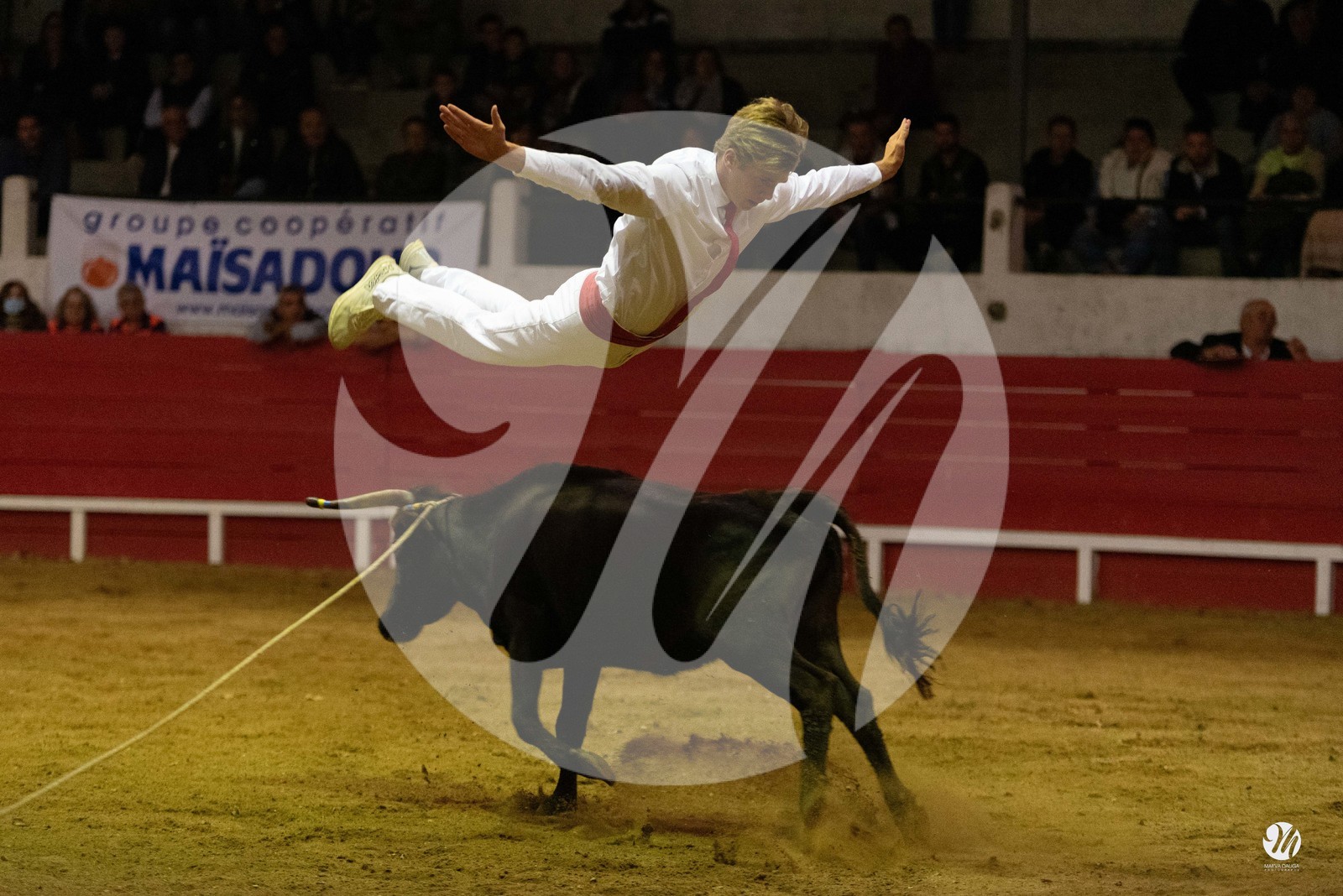 dsc_7419.jpg