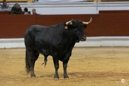 dsc_0657.jpg
