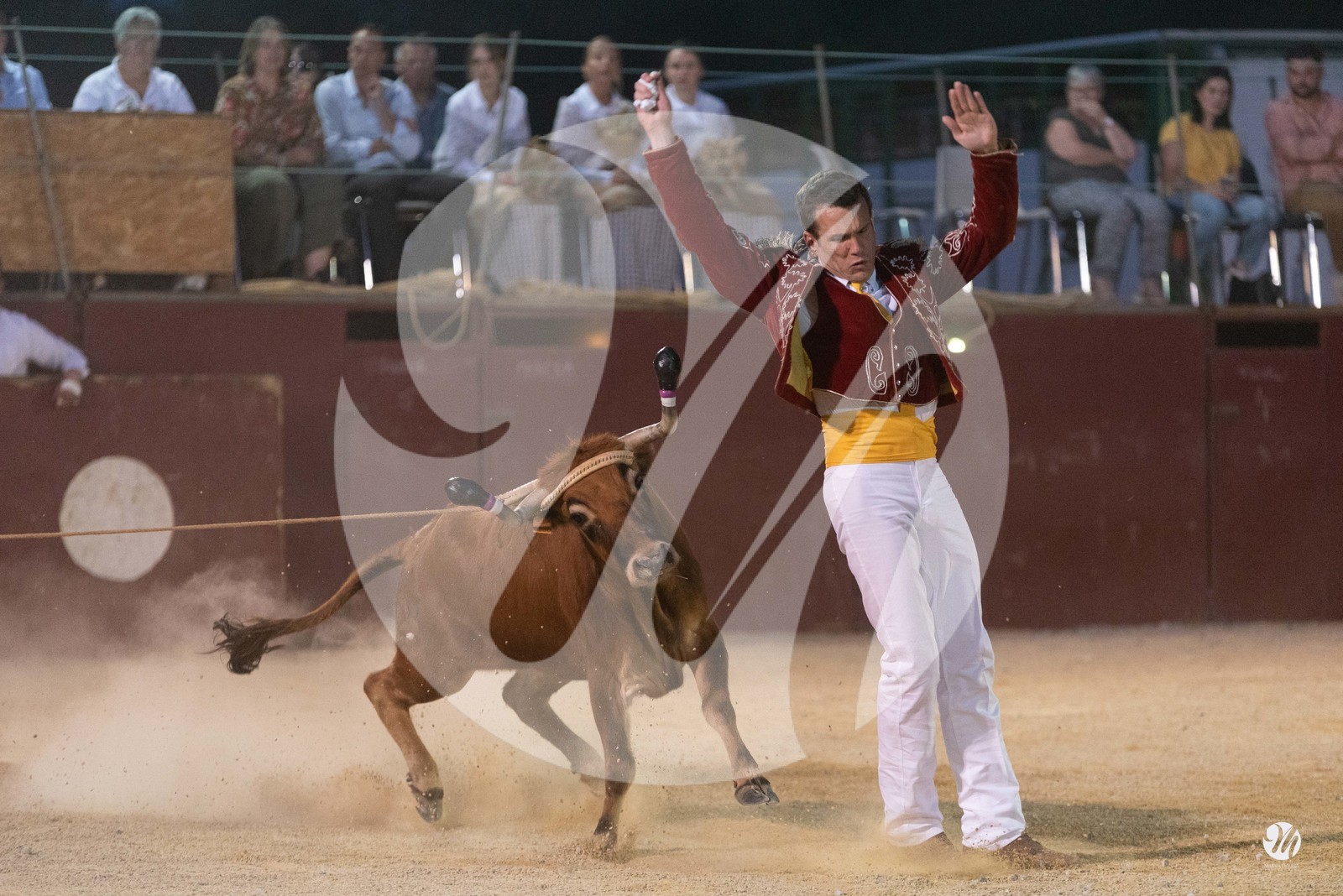 dsc_7383.jpg