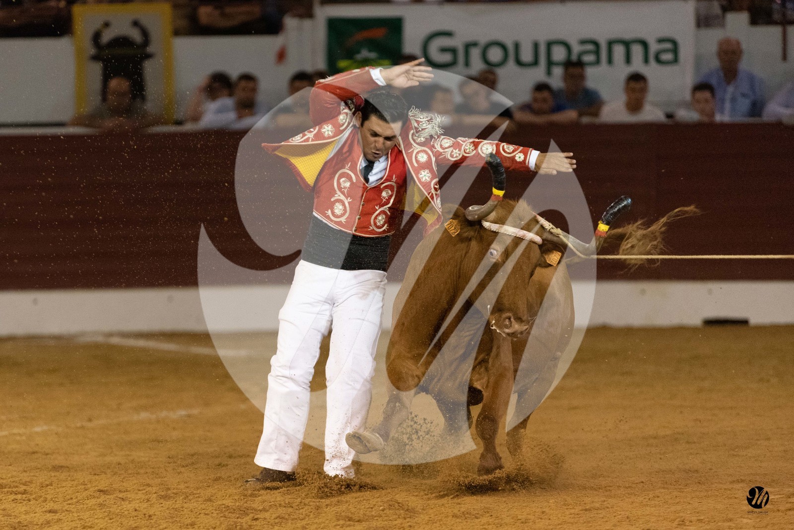 dsc_1781.jpg