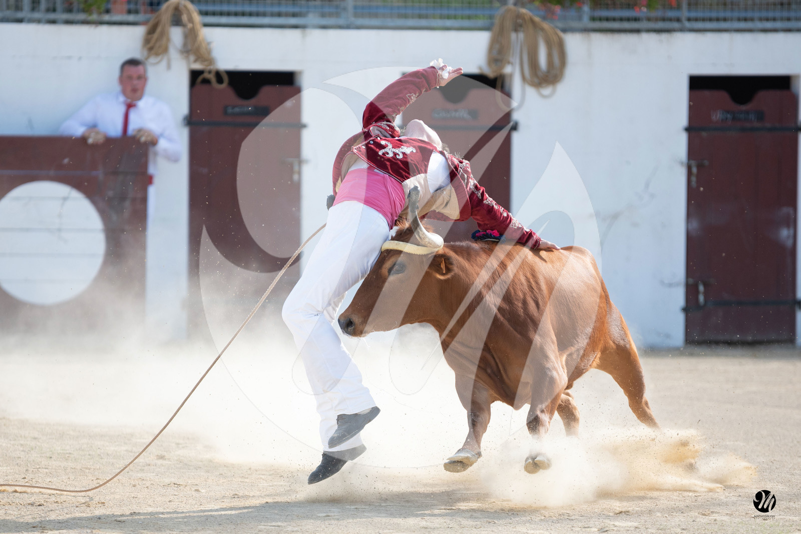 dsc_5666.jpg